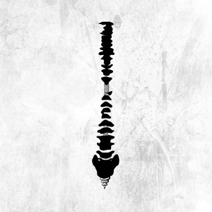 新加坡AV无码免费
