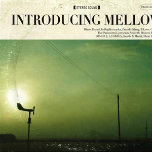 新加坡AV无码免费
