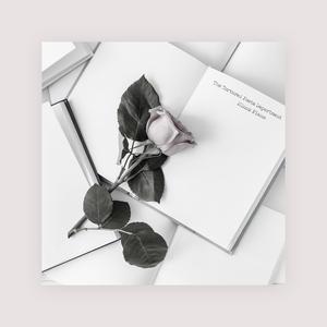 新加坡AV无码免费
