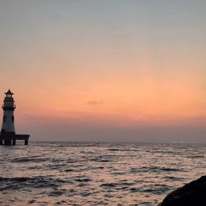 新加坡AV无码免费
